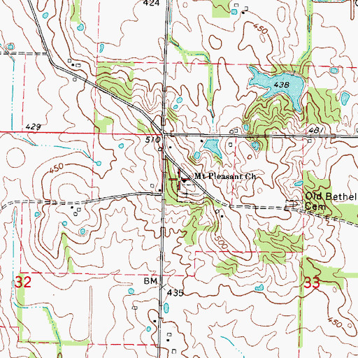 Topographic Map of Mount Pleasant Church, IL