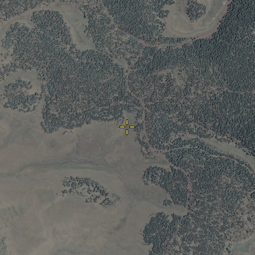 Aerial/Satellite Image of East Fork Number Three Spring, AZ