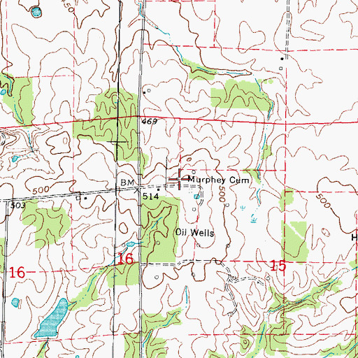 Topographic Map of Murphey Cemetery, IL