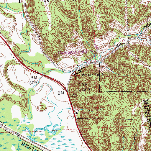 Topographic Map of NYA Camp, IL
