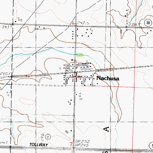 Topographic Map of Nachusa, IL