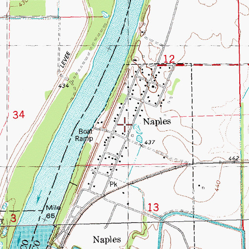 Topographic Map of Naples, IL