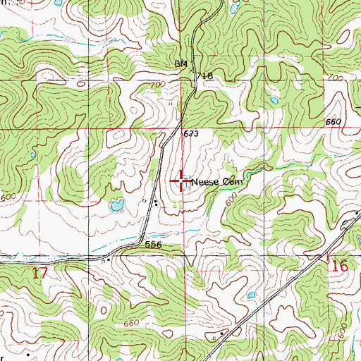 Topographic Map of Neese Cemetery, IL