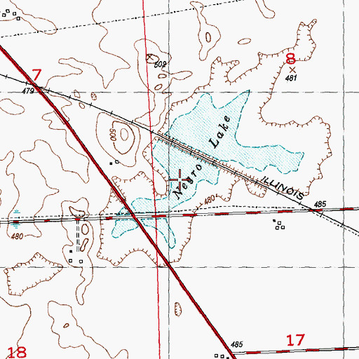 Topographic Map of Negro Lake, IL