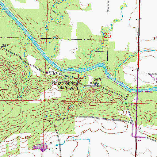 Topographic Map of Negro Spring Salt Well, IL