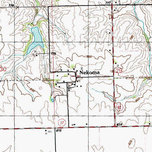 Topographic Map of Nekoma, IL