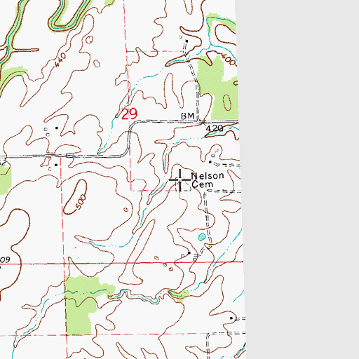 Topographic Map of Nelson Cemetery, IL