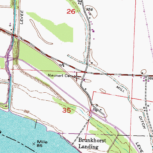 Topographic Map of Neunert Cemetery, IL