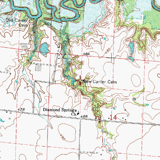 Topographic Map of New Carter Cemetery, IL