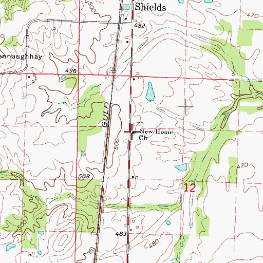 Topographic Map of New Home Church, IL