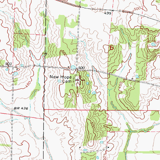 Topographic Map of New Hope Cemetery, IL