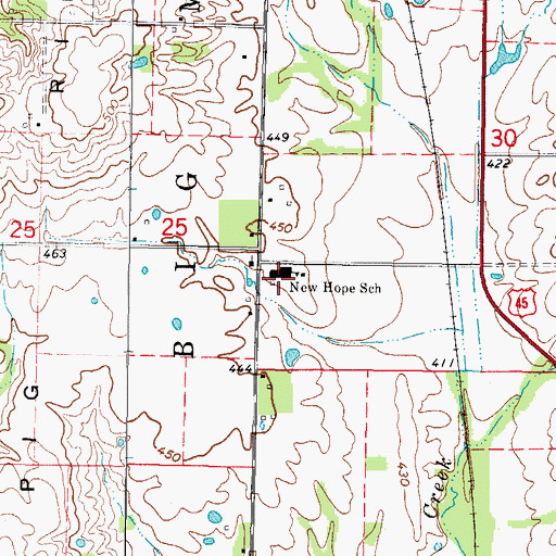 Topographic Map of New Hope Elementary School, IL