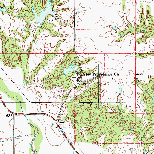 Topographic Map of New Providence Church, IL