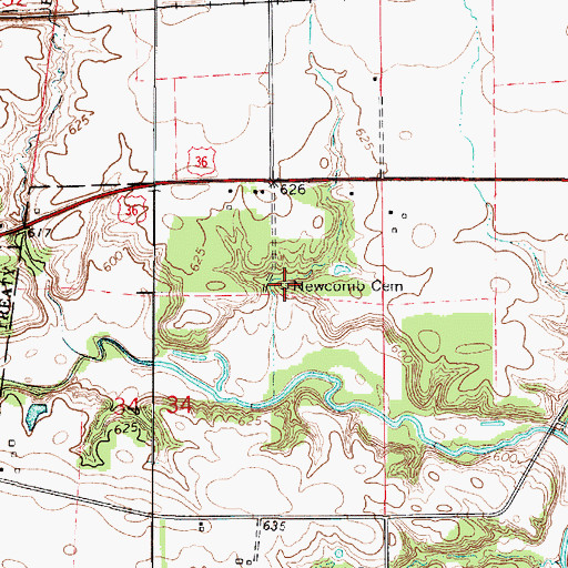 Topographic Map of Newcomb Cemetery, IL