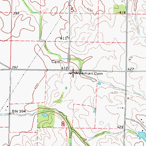 Topographic Map of Newman Family Cemetery, IL