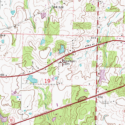 Topographic Map of Newton Farm Cemetery, IL