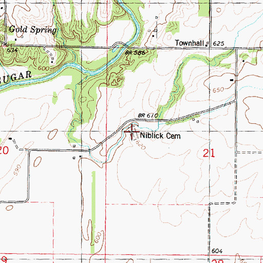 Topographic Map of Nitlick Cemetery, IL