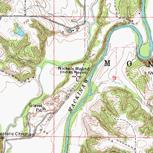 Topographic Map of Nichols Mound, IL
