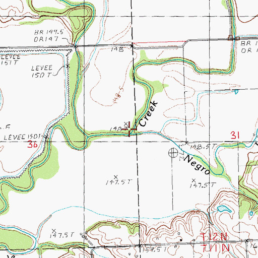 Topographic Map of Negro Lick, IL