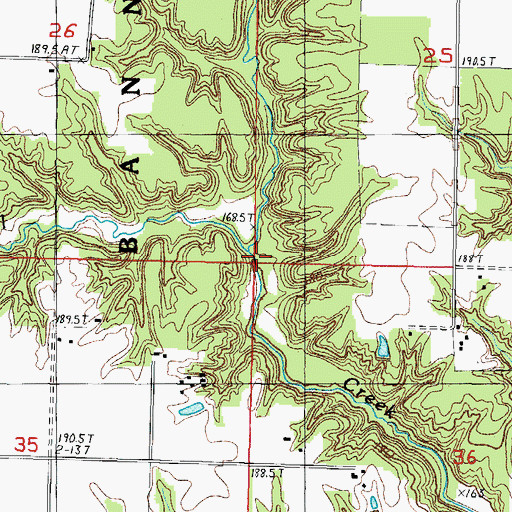 Topographic Map of North Fork Shoal Creek, IL