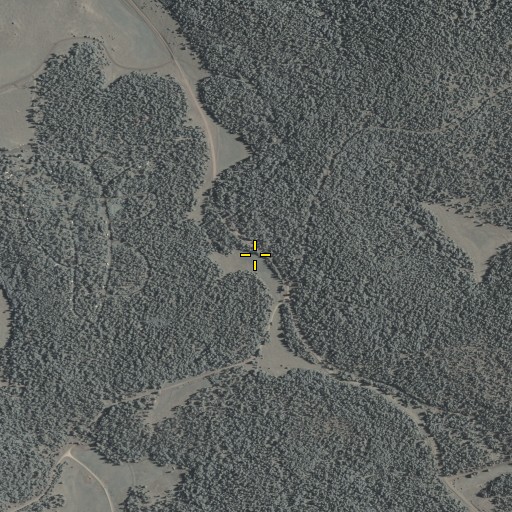 Aerial/Satellite Image of Fir Spring, AZ