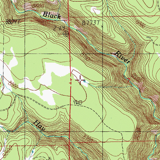 Topographic Map of Black Tank, AZ