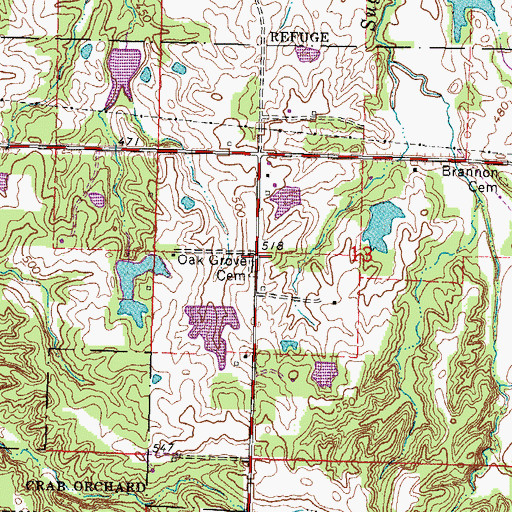 Topographic Map of Oak Grove Cemetery, IL