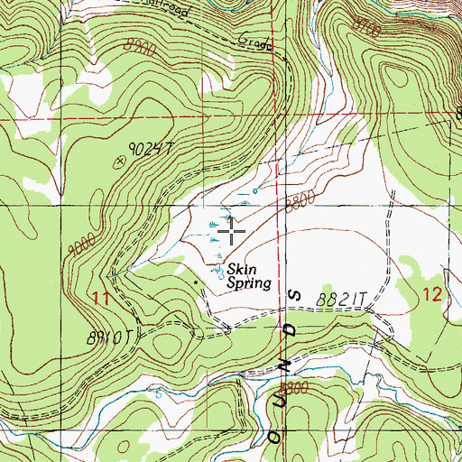 Topographic Map of Skin Spring Tank, AZ