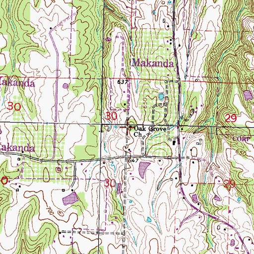 Topographic Map of Oak Grove Church, IL