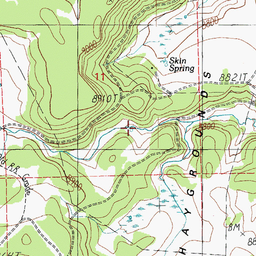 Topographic Map of Rail Spring, AZ