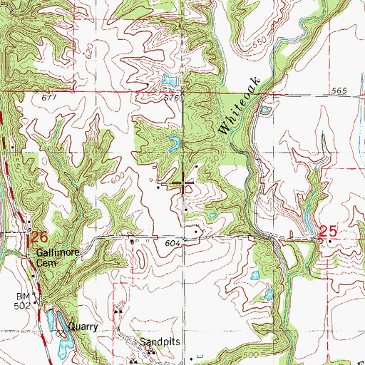 Topographic Map of Oak Ridge School (historical), IL