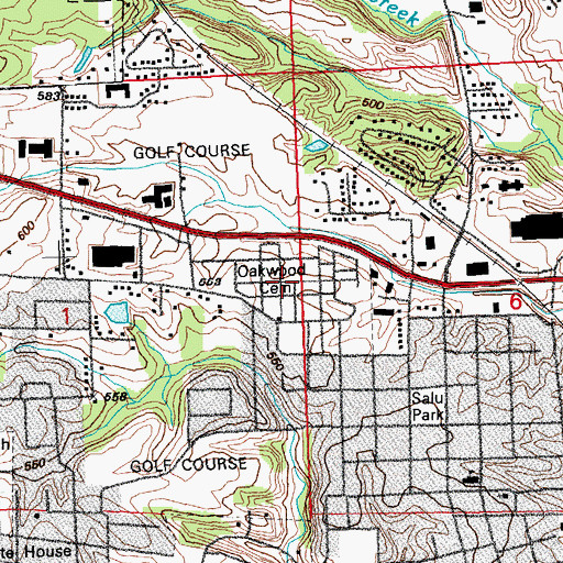 Topographic Map of Oakwood Cemetery, IL
