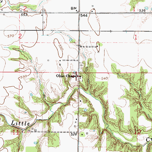 Topographic Map of Ohio Chapel, IL