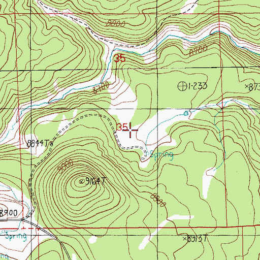 Topographic Map of Tank Spring, AZ