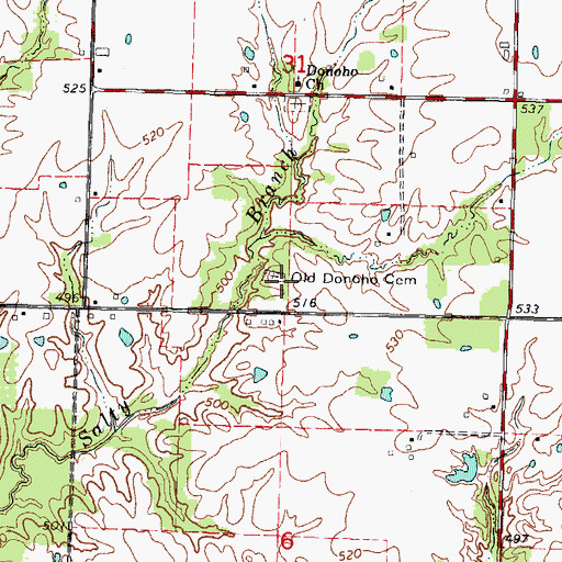 Topographic Map of Old Donoho Prairie Cemetery, IL