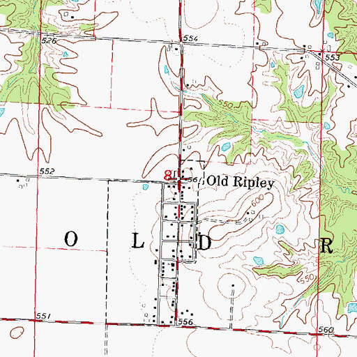 Topographic Map of Old Ripley, IL
