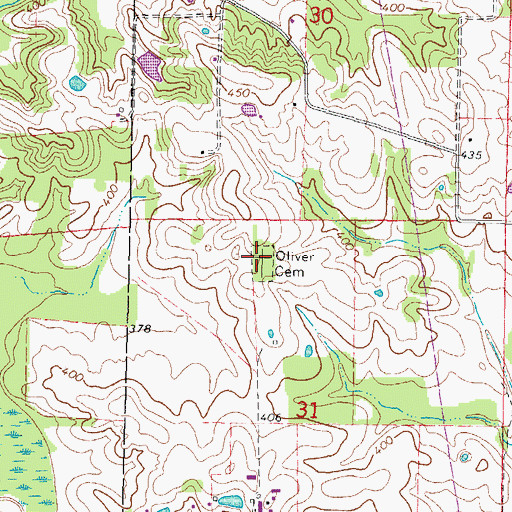 Topographic Map of Oliver Cemetery, IL