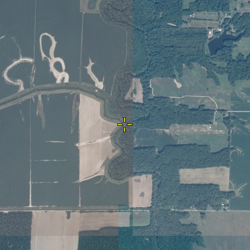 Aerial/Satellite Image of Paddy Creek, IL
