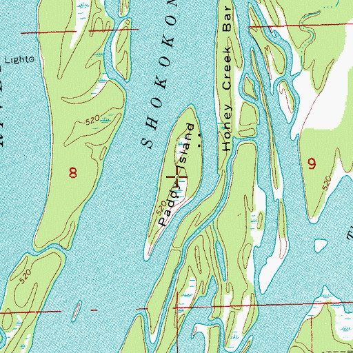 Topographic Map of Paddy Island, IL