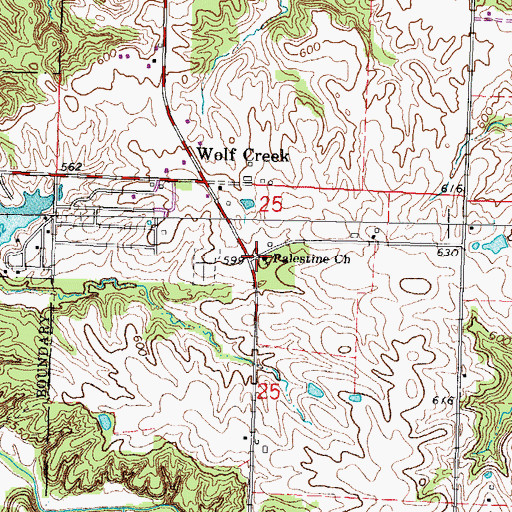 Topographic Map of Palestine Church, IL