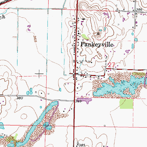Topographic Map of Pankeyville, IL