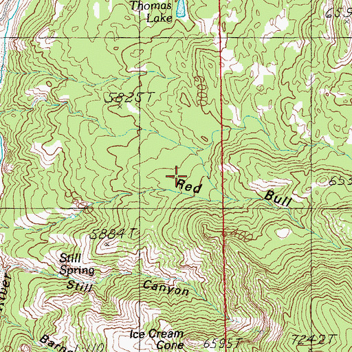 Topographic Map of Blue Range Primitive Area, AZ