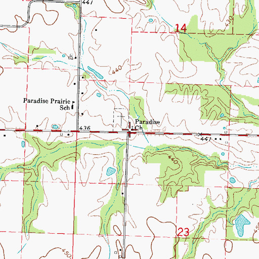 Topographic Map of Paradise Church, IL