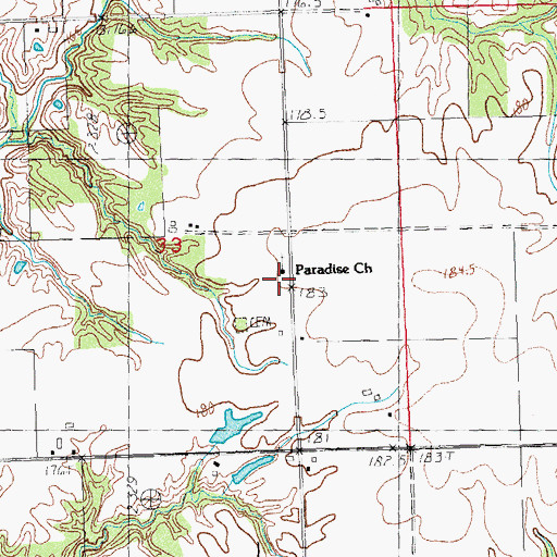 Topographic Map of Paradise Church, IL