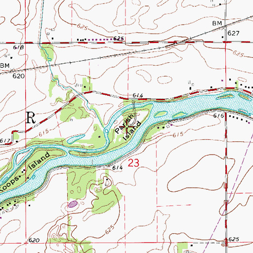 Topographic Map of Parish Island, IL