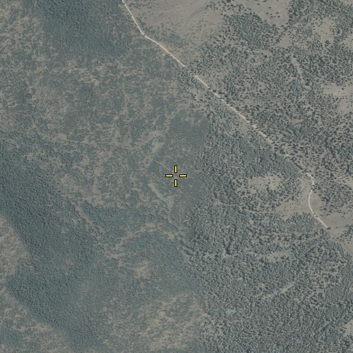 Aerial/Satellite Image of Middle Spring, AZ