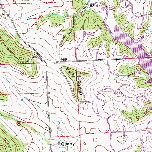 Topographic Map of Pea Ridge, IL