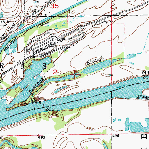 Topographic Map of Peacock Slough, IL