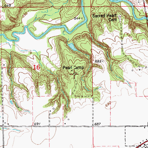 Topographic Map of Pearl Camp, IL