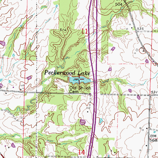 Topographic Map of Peckerwood Lake, IL